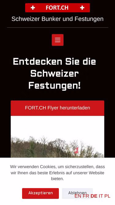 Screenshot of fort.ch