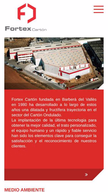 Screenshot of fortex.es