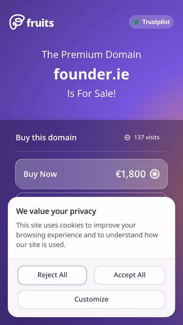 Screenshot of founder.ie