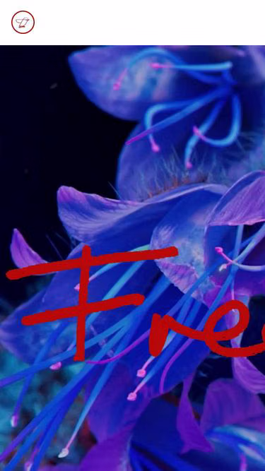 Screenshot of freebird.studio