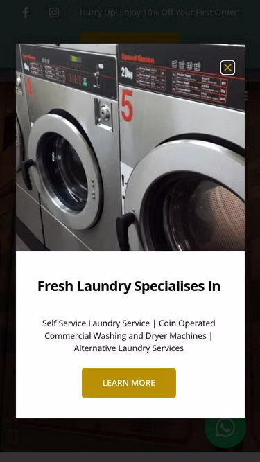 Screenshot of freshlaundry.com.sg