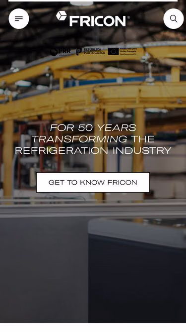 Screenshot of fricon.it