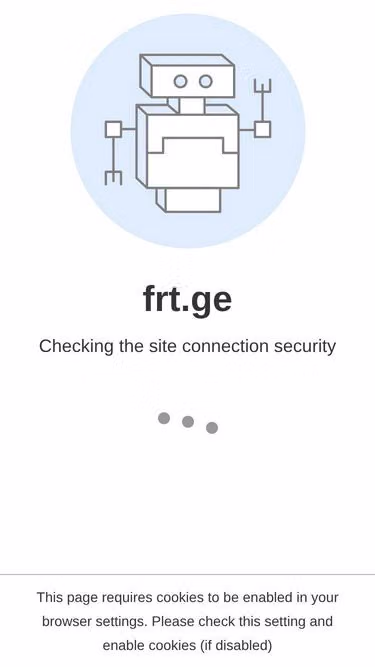 Screenshot of frt.ge
