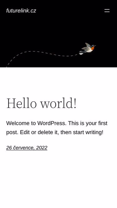 Screenshot of futurelink.cz