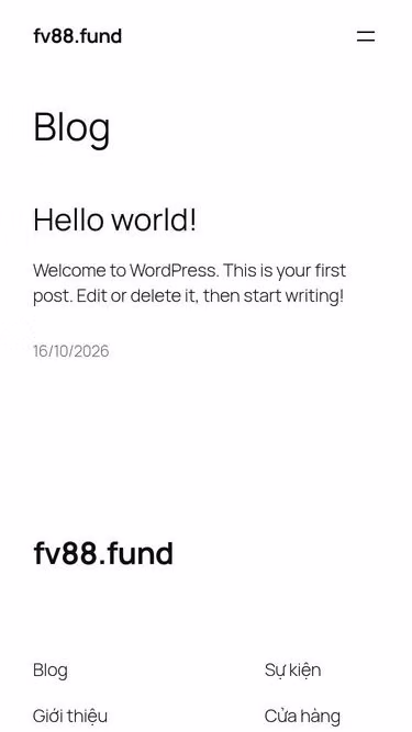 Screenshot of fv88.fund