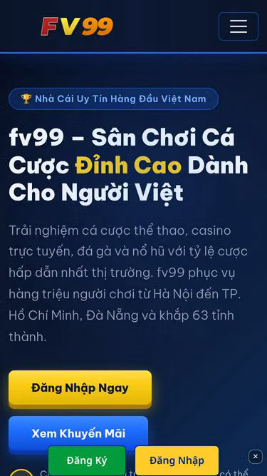 Screenshot of fv99.app