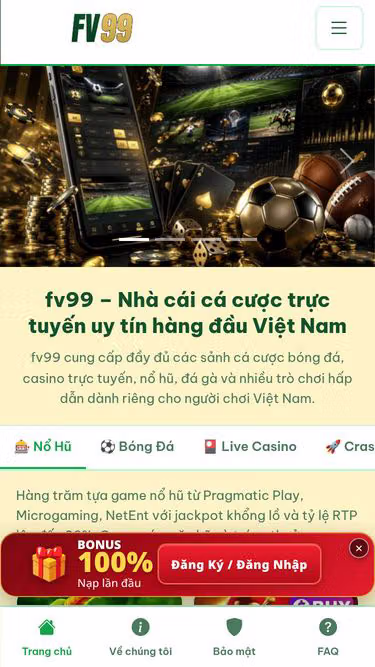 Screenshot of fv99.my