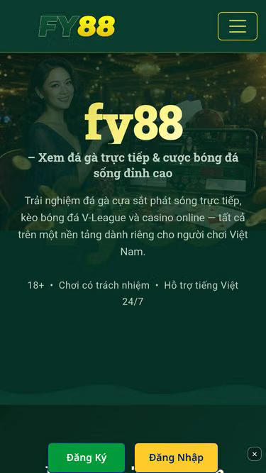 Screenshot of fy88.bar