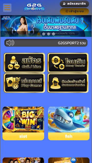 Screenshot of g2gsport2.today
