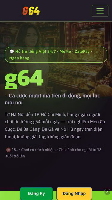 Screenshot of g64.lat