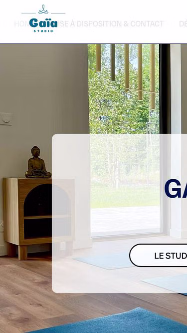 Screenshot of gaiastudio.fr