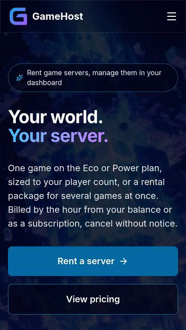 Screenshot of gameserver.site