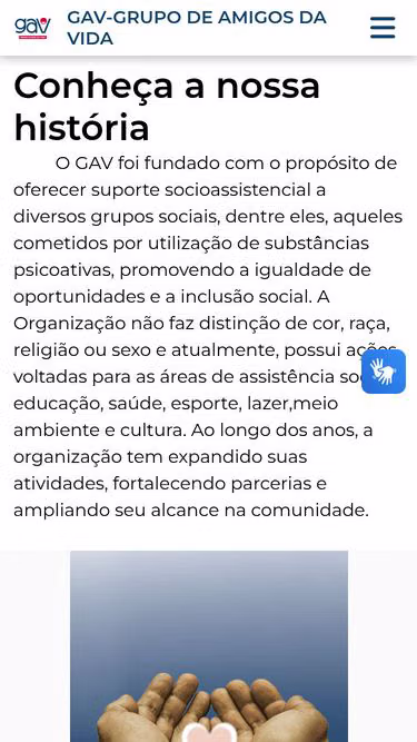 Screenshot of gav.ong.br