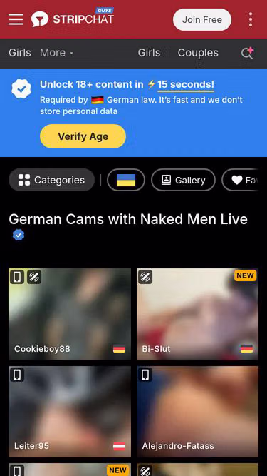 Screenshot of gaychat.site