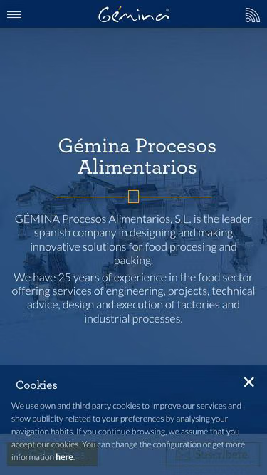 Screenshot of gemina.es