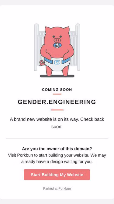 Screenshot of gender.engineering