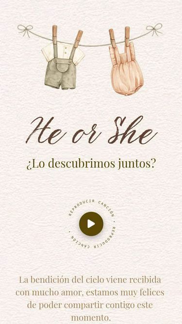 Screenshot of genderreveal.site