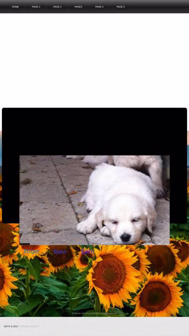 Screenshot of gets.dk
