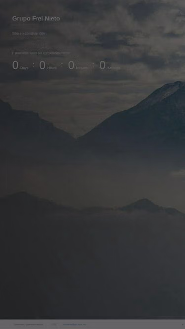 Screenshot of gfn.com.mx
