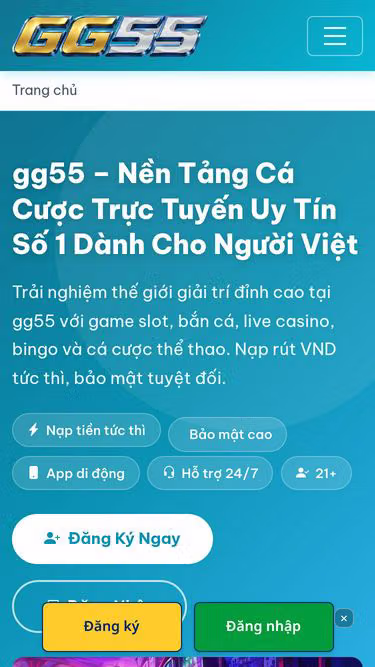 Screenshot of gg55.io