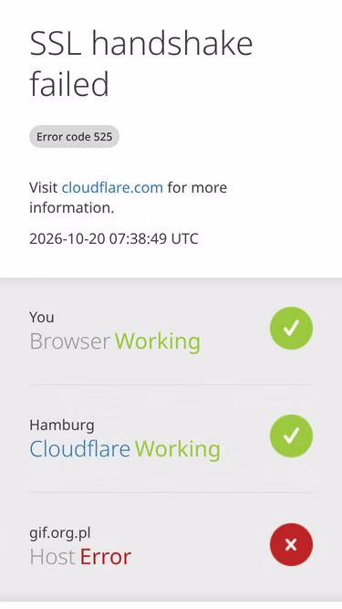 Screenshot of gif.org.pl
