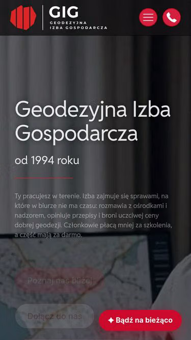 Screenshot of gig.org.pl