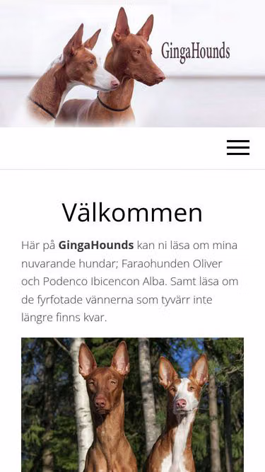 Screenshot of ginga.se
