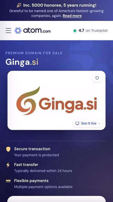 Screenshot of ginga.si