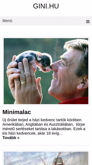 Screenshot of gini.hu