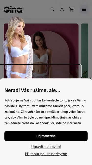 Screenshot of gino.sk