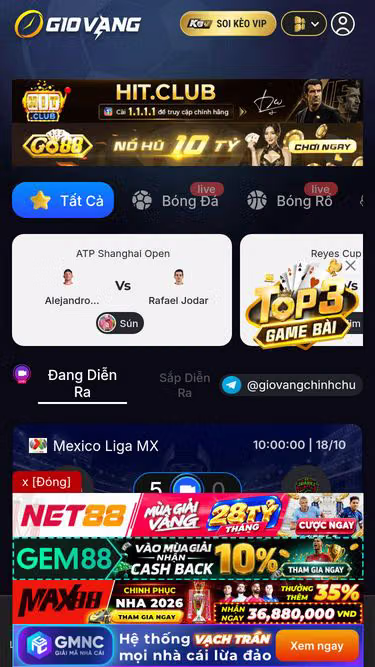 Screenshot of giovang.net