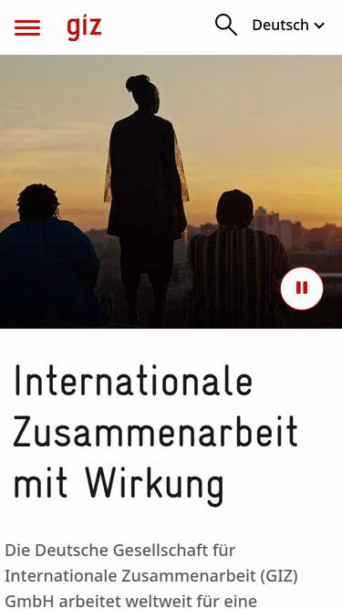 Screenshot of giz.eu