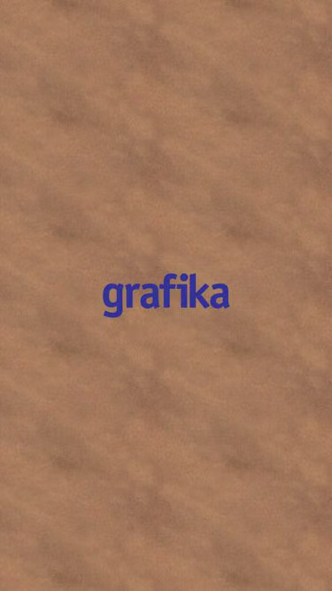 Screenshot of grafika.com.mx