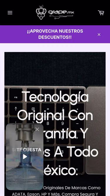Screenshot of grape.mx