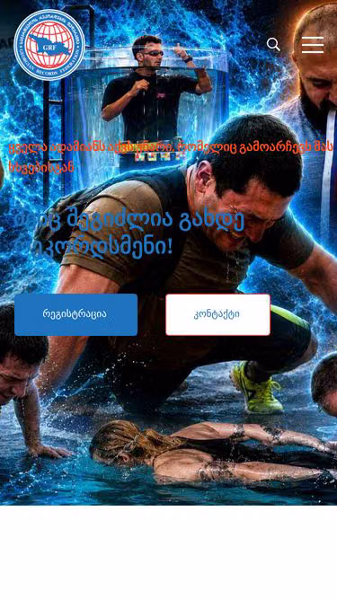 Screenshot of grf.ge