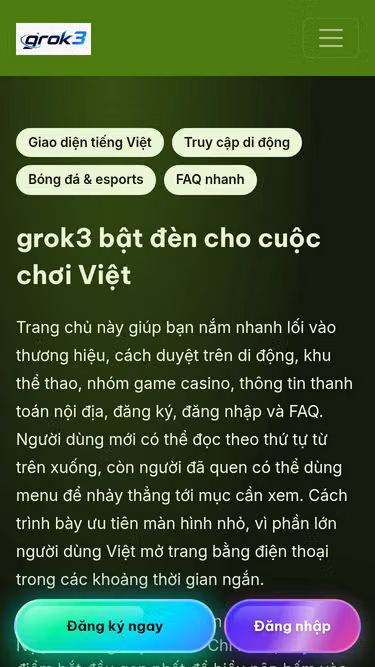 Screenshot of grok3.club