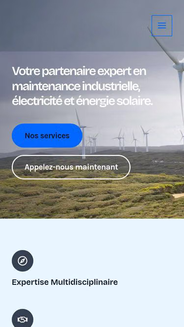 Screenshot of gse.tn