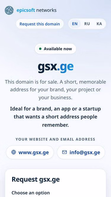 Screenshot of gsx.ge