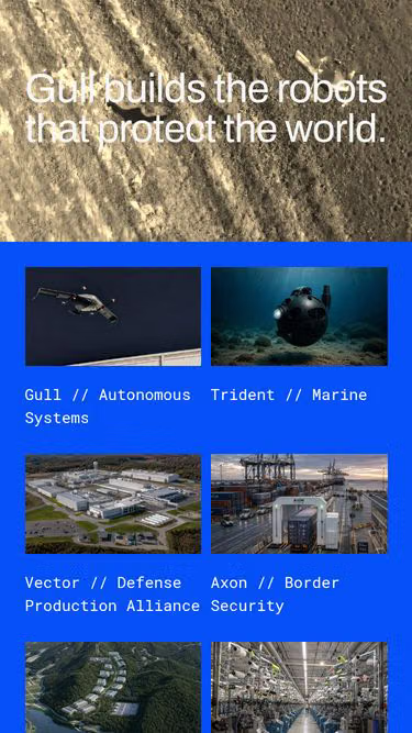 Screenshot of gull.one