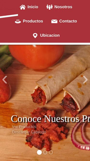 Screenshot of gunter.com.mx