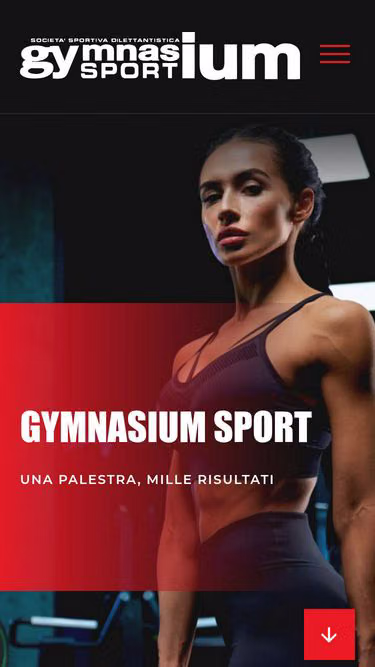 Screenshot of gymnasium.ra.it