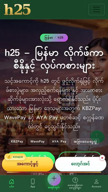 Screenshot of h25.top