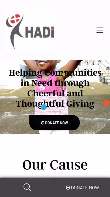 Screenshot of hadi.org.ng