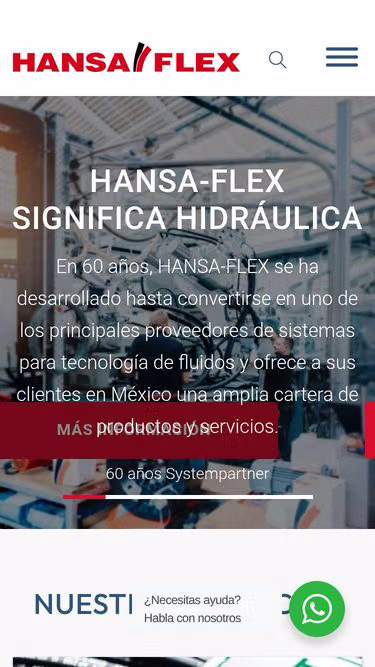 Screenshot of hansa-flex.mx
