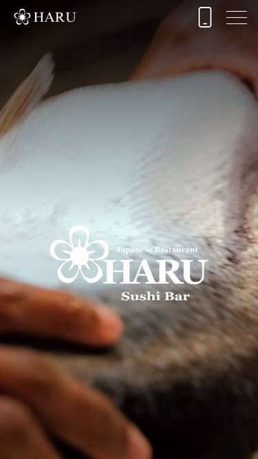 Screenshot of haru.co.ke