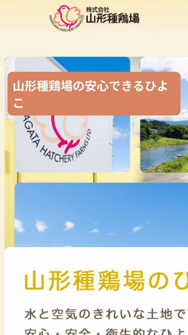 Screenshot of hatchery.co.jp