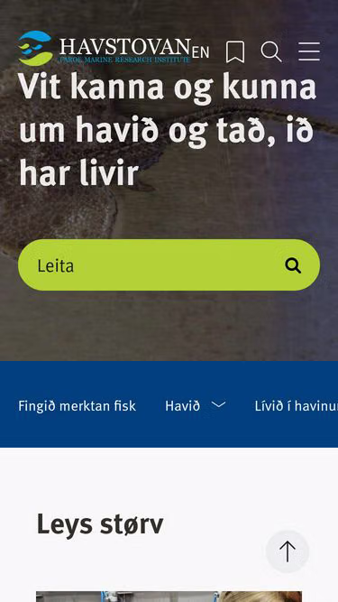 Screenshot of hav.fo