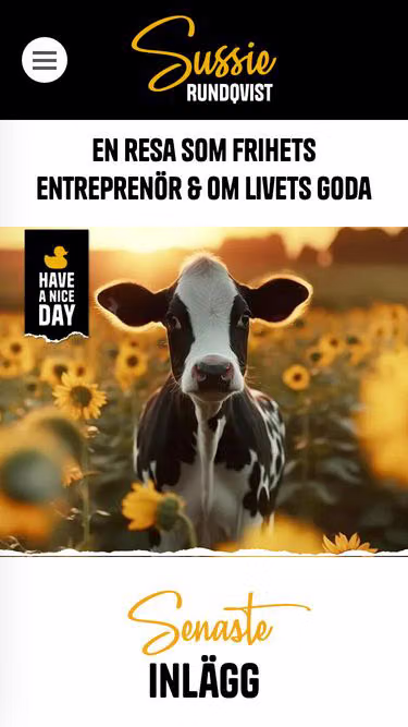 Screenshot of haveaniceday.se