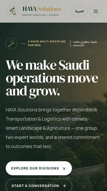 Screenshot of haya.solutions