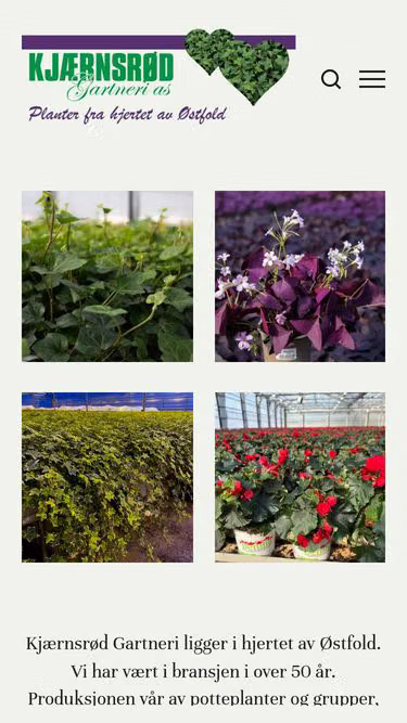 Screenshot of hedera.no